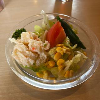 彩りサラダ(ジョイフル桶川店)
