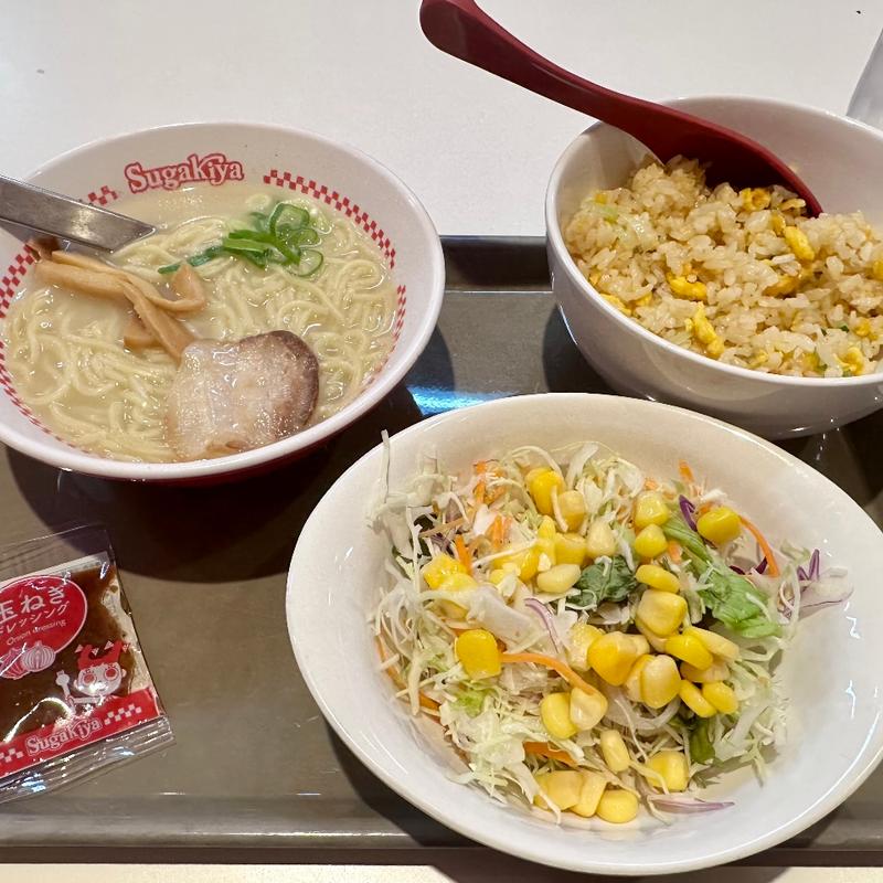 ミニラーメン、炒飯サラダセット(スガキヤ 名鉄岐阜駅前店 )