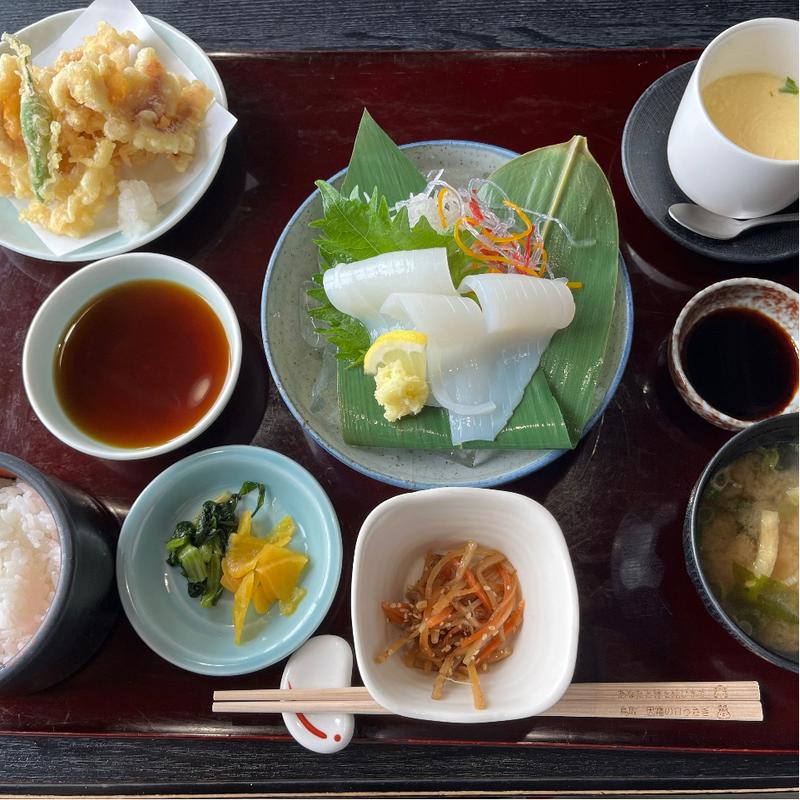 鳥取名物　いか御膳(おさかなダイニング ぎんりん亭 （おさかなだいにんぐ ぎんりんてい）)