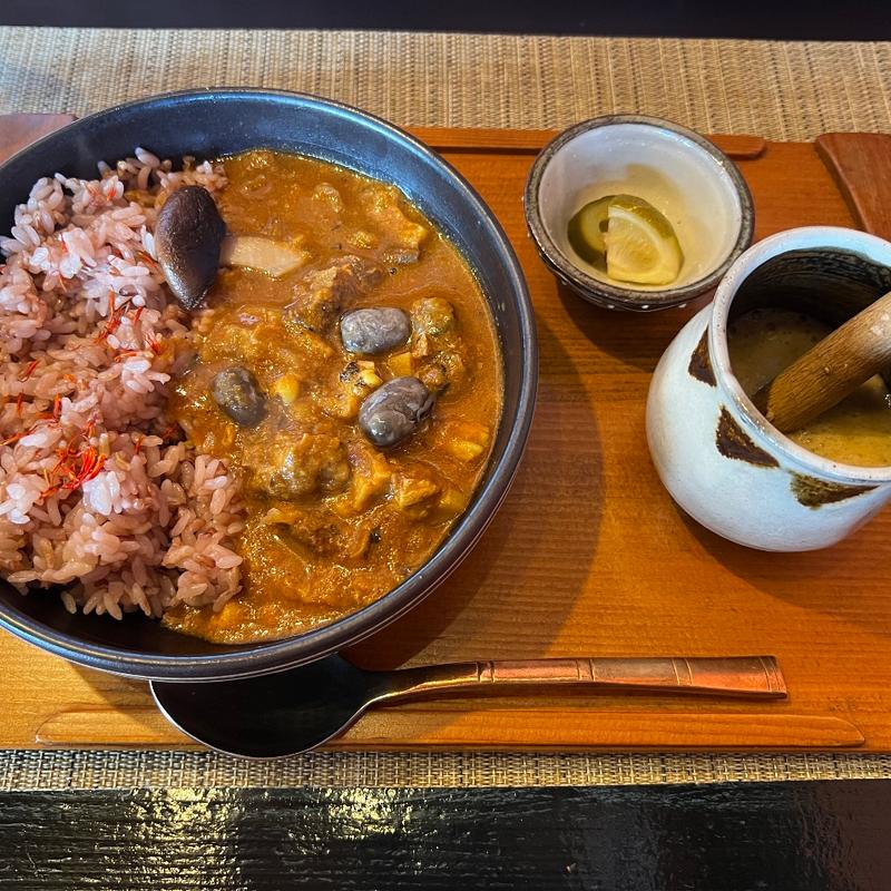 季節の薬膳カレー(三日月食堂)