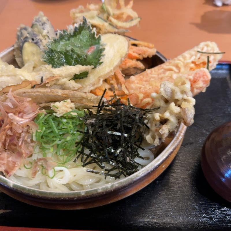 野菜天ぶっかけ(大地のうどん　博多駅ちかてん)
