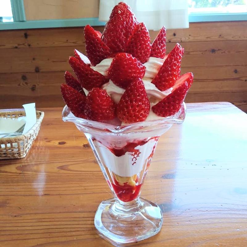 スペシャルいちごパフェ(ストロベリーフィールド （Strawberry Field）)