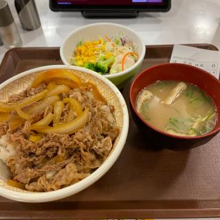 牛丼+サラダセット(すき家 城陽久世店 )