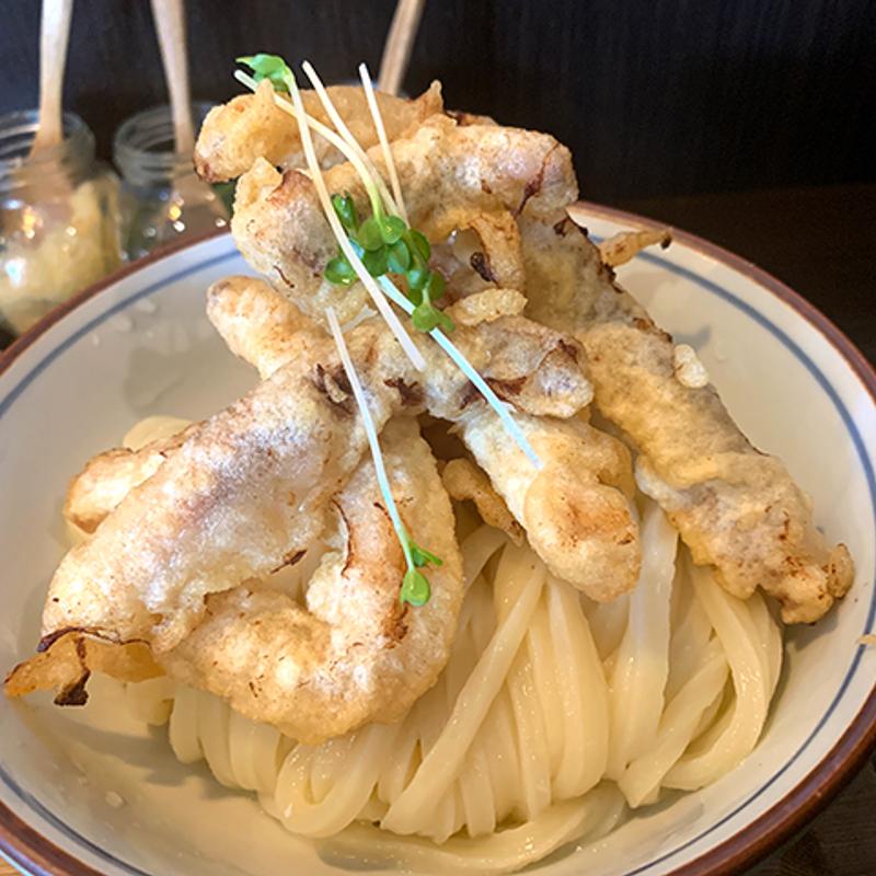焼いか天おろしぶっかけうどん(手打ちうどん渡辺)