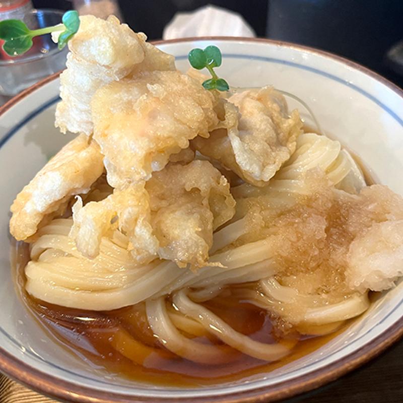 鶏天おろしぶっかけうどん(手打ちうどん渡辺)