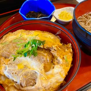 ヒレカツ丼定食(こんごう庵 神保町店 （こんごうあん）)