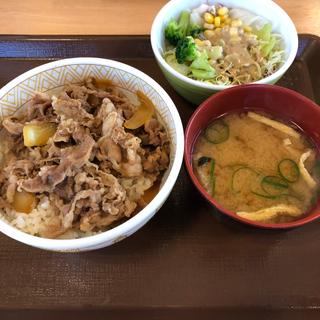 牛丼ランチセット(すき家 足利南大町店)