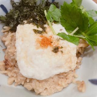 山芋とろろ飯(おでん まる米)