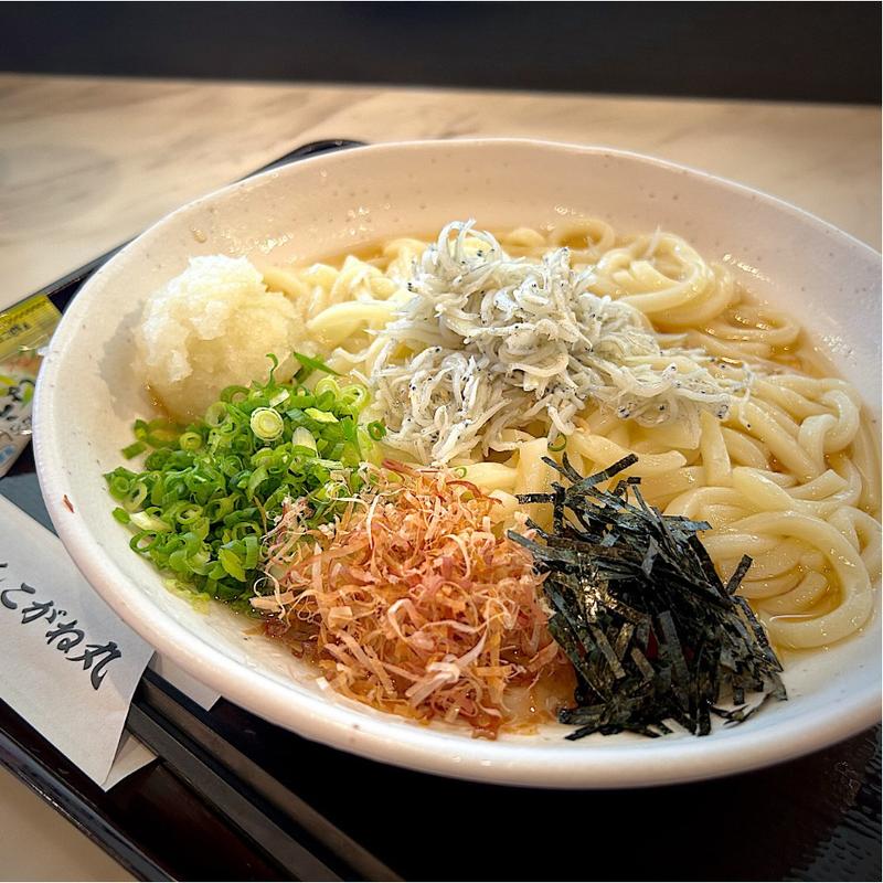 ぶっかけしらすおろしうどん(あご出しうどんこがね丸)