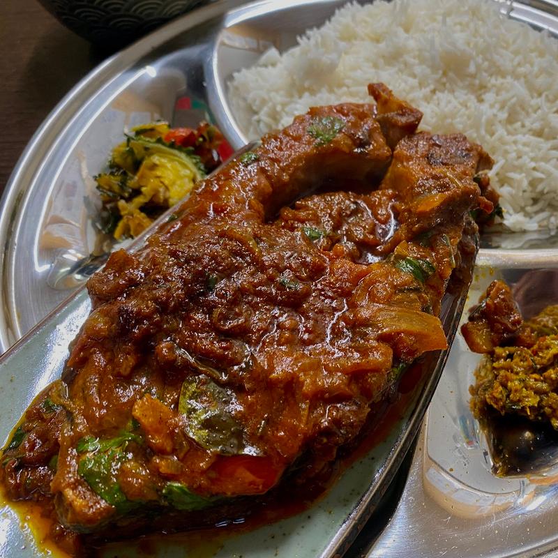 めっちゃくちゃ大きいナマズ魚ブナ(サルシーナハラルフーズ)