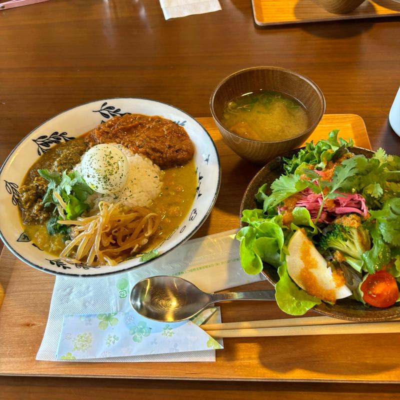 アーユルヴェーダカレー(Baum(バウム))