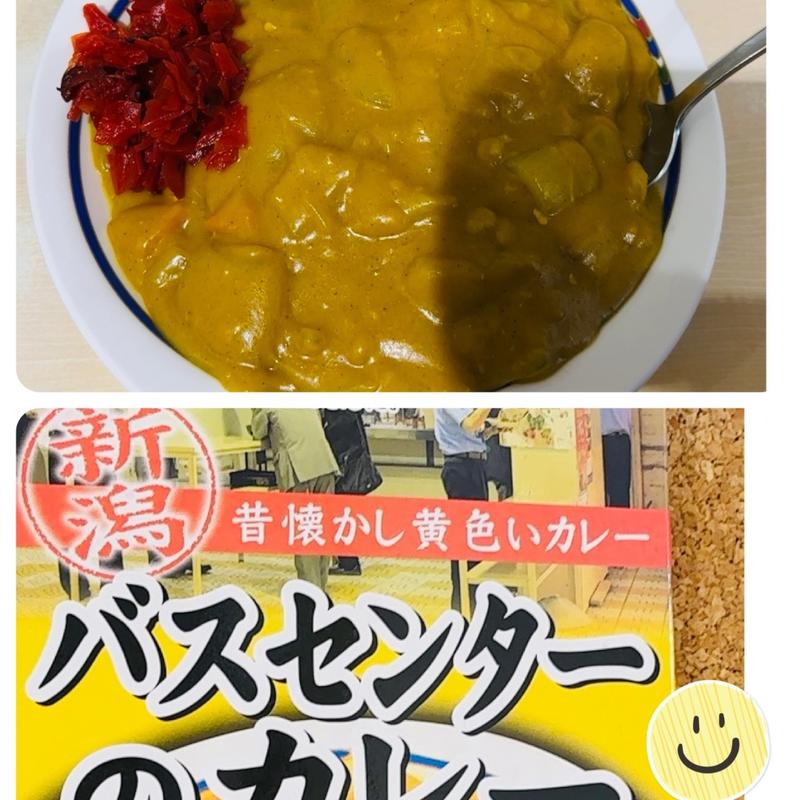 カレーライス 並(万代バスセンター)