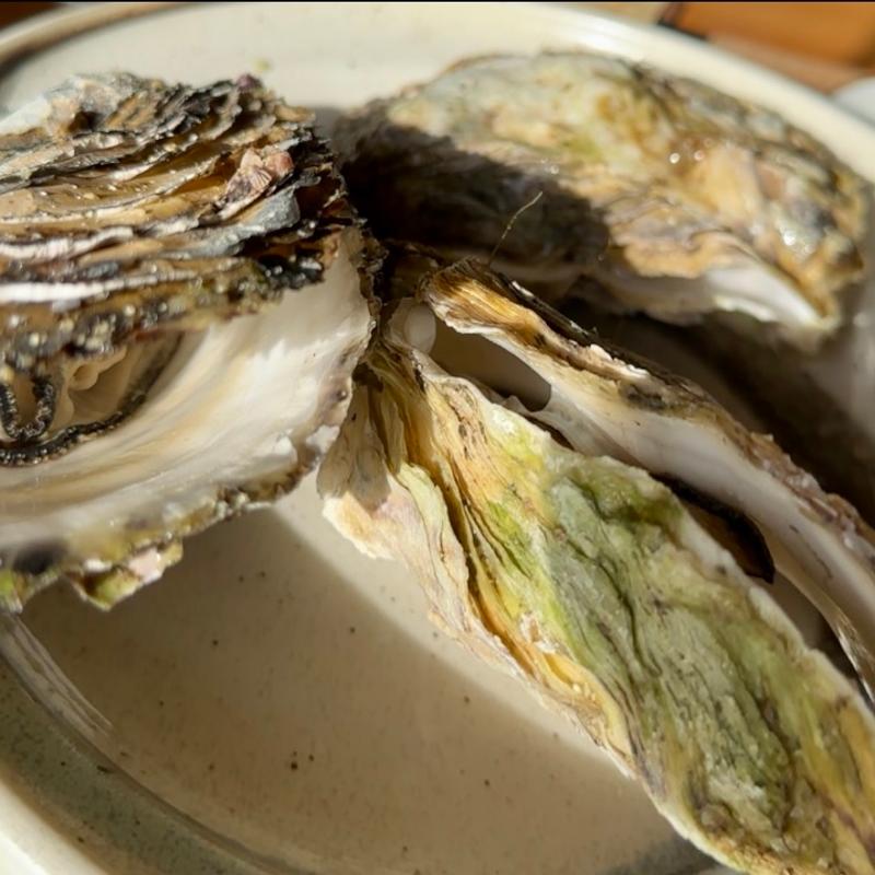 産地直送 焼きカキ 5コ(浜茶屋網元)