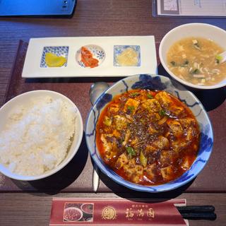 陳麻婆豆腐定食(横浜中華街 福満園 新橋店)