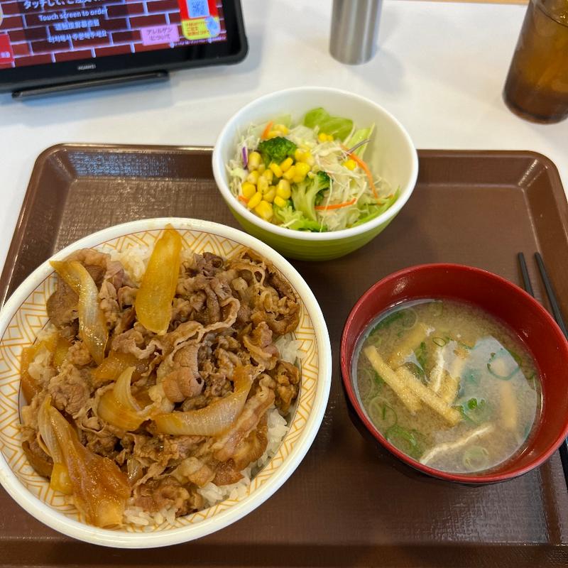 牛丼大盛サラダセット(すき家 吉川栄店)