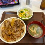 牛丼大盛サラダセット(すき家 吉川栄店)