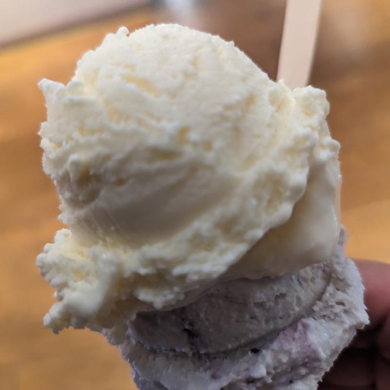 フローズンヨーグルト&ソフトクリーム ダブル(ヤスダヨーグルト CoCoLo南館店 （YASUDAYOGURT）)