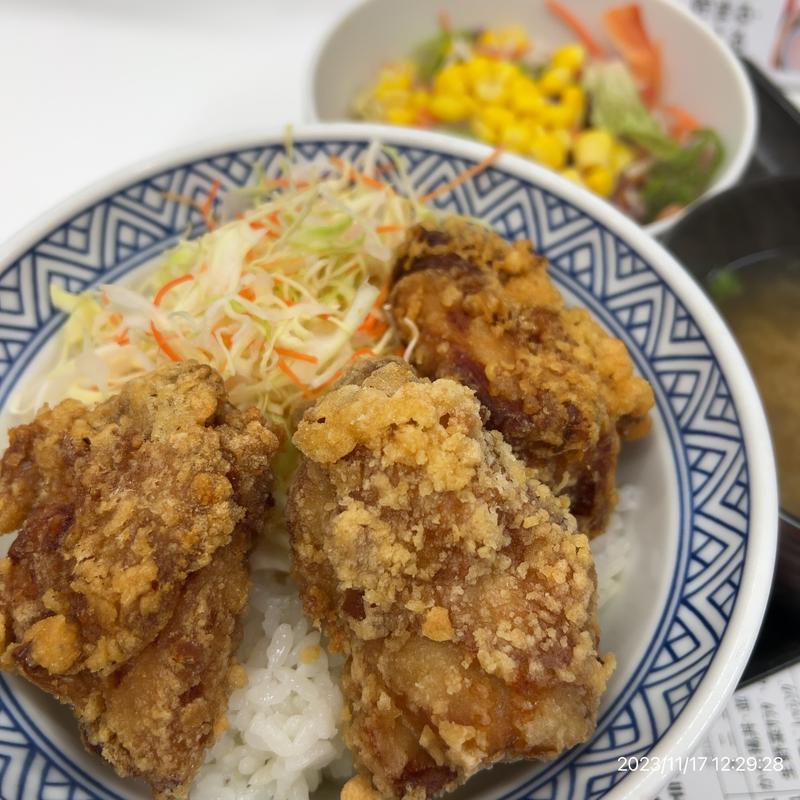 から揚げ丼並(吉野家 神保町店 )