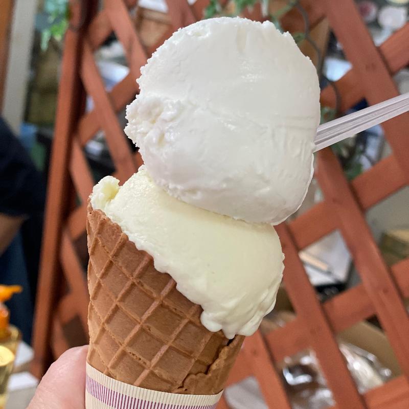 (道の駅さいかい みかんドーム )