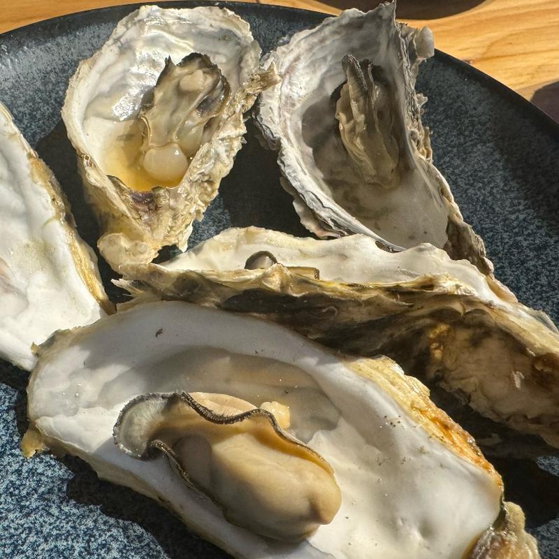 カキのガンガン焼き(シハチ鮮魚店 狸COMICHI店)