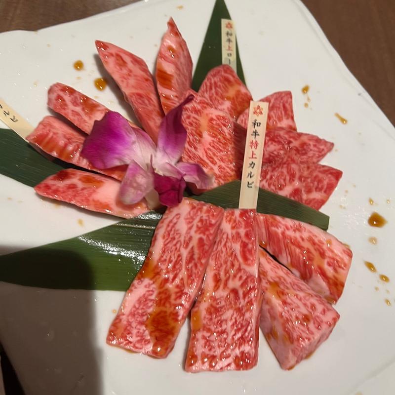 (じゃんじゃか 坂店 )