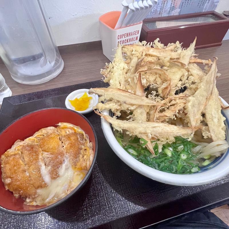 ごぼ天うどん ミニ丼セット(豊前裏打会 めん天 うどん)