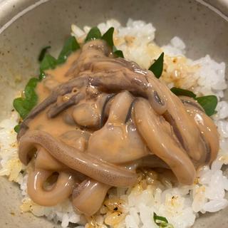 塩辛ご飯(北海道生まれ和食処とんでん 厚別店)