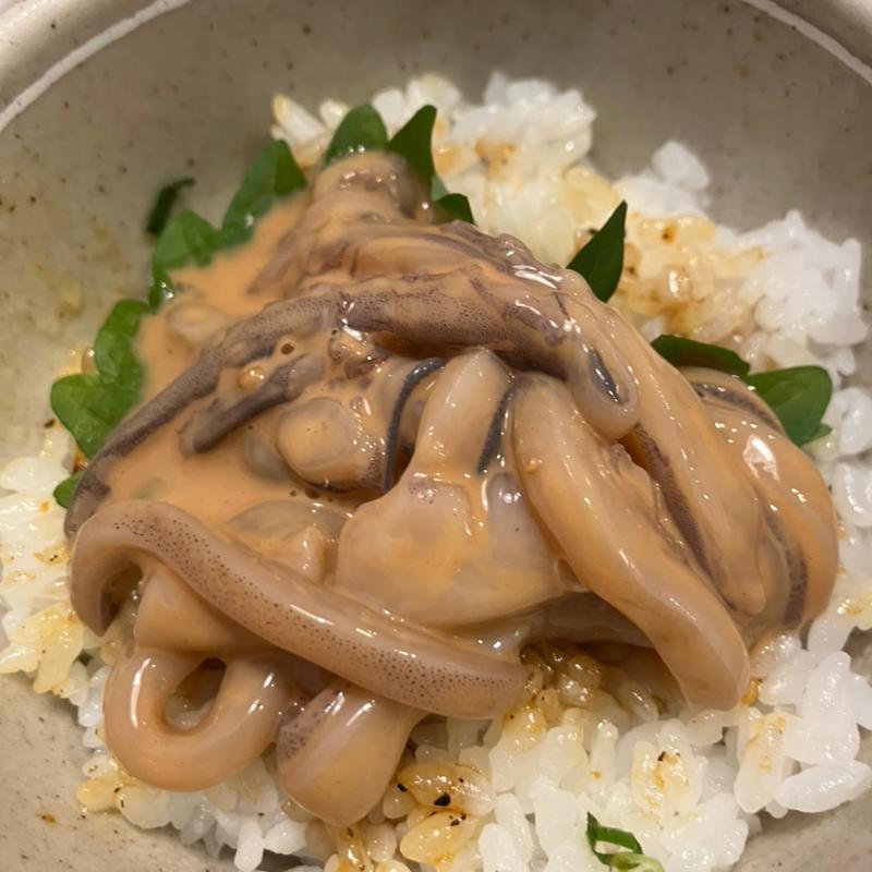 塩辛ご飯(北海道生まれ和食処とんでん 厚別店)