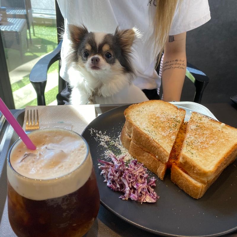 (ダールフルットコーヒーロースターズ)