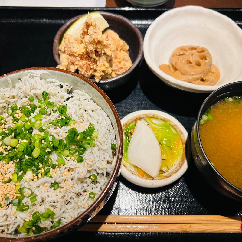 しらす丼と唐揚げ(こころむすび )