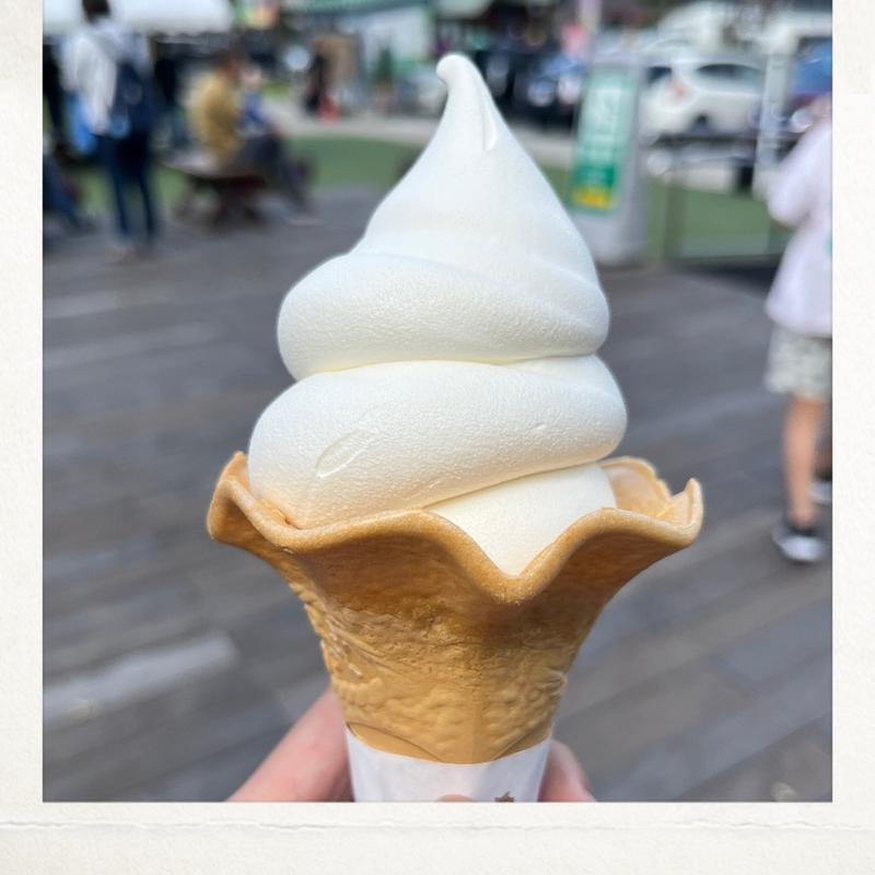 ジャージーソフト(道の駅　風の家 )