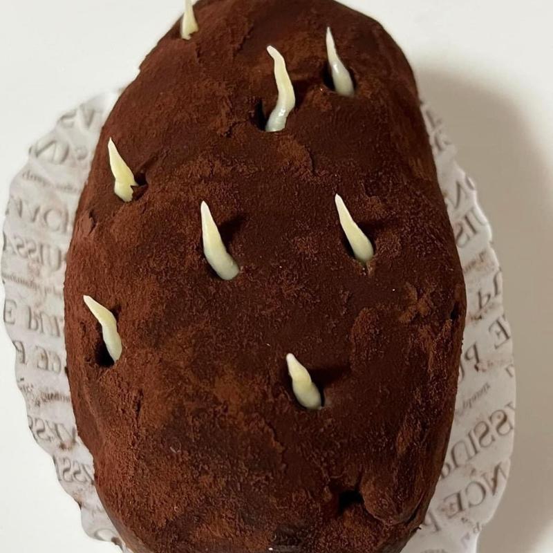 ポンムドテール(ピュイサンス )