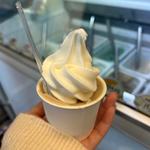 ソフトトップ(横濱アイス工房 ゆめが丘店)
