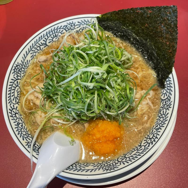 ねぎ肉そば(丸源ラーメン 富士インター店 )