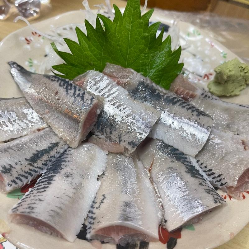 トロいわしの刺し身(魚万ずし )