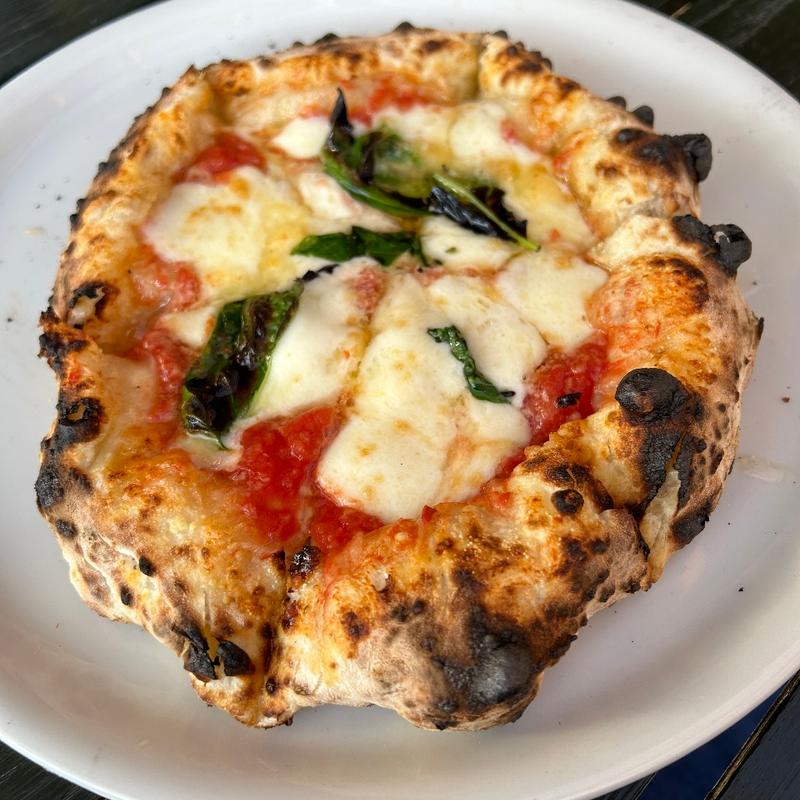 マルゲリータ(ドットーレ （Dottore）)