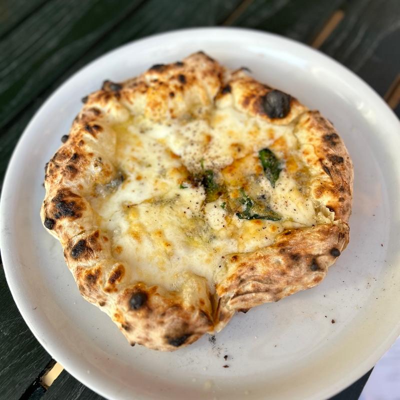 4種のチーズのpizza(ドットーレ （Dottore）)