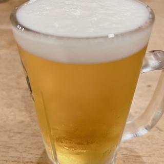 生ビール(北沢カレー食堂 茄子おやじ)