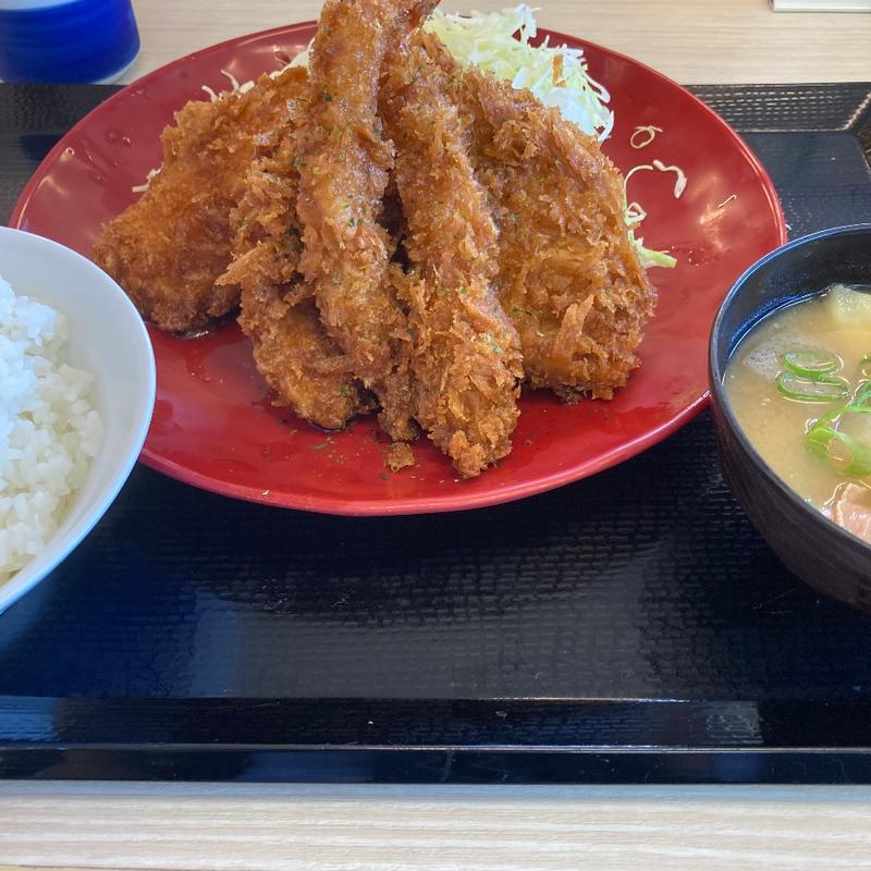 (かつや 神奈川厚木船子店)