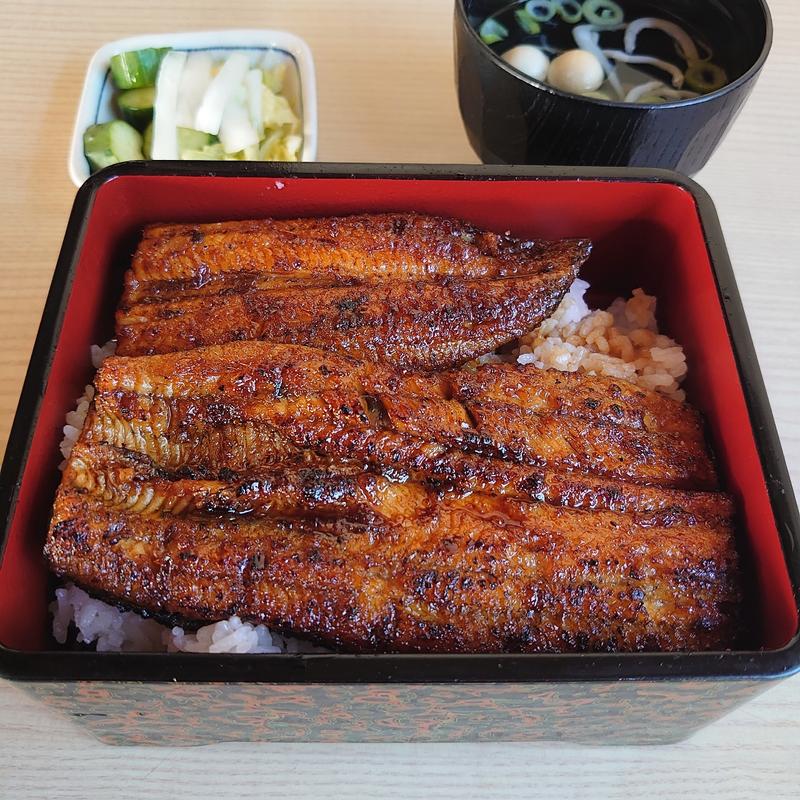 うな重 特上(うなぎの山中 )