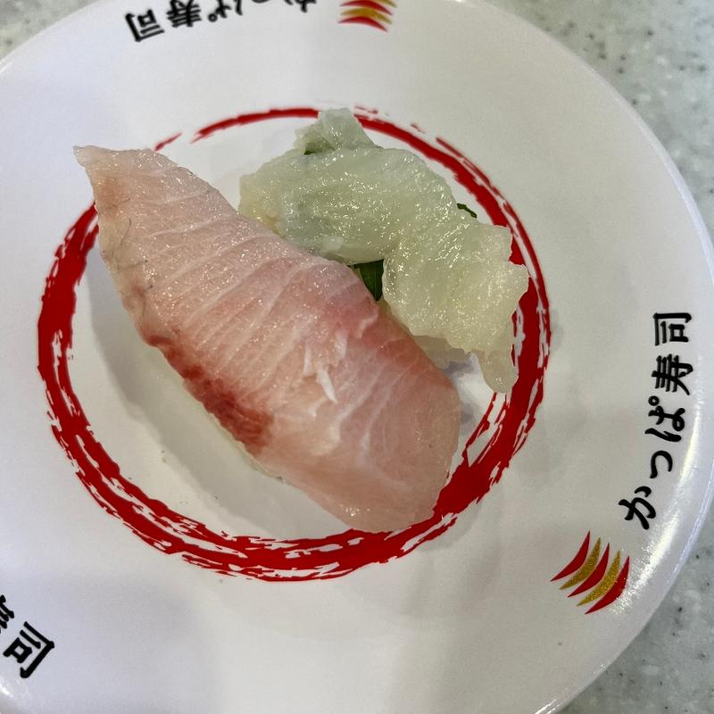 はまちとえんがわセット(かっぱ寿司 新発田店)