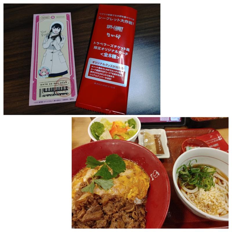 牛あいがけ親子丼 並＋はいからうどん(小)サラダセット(なか卯 東船橋店)