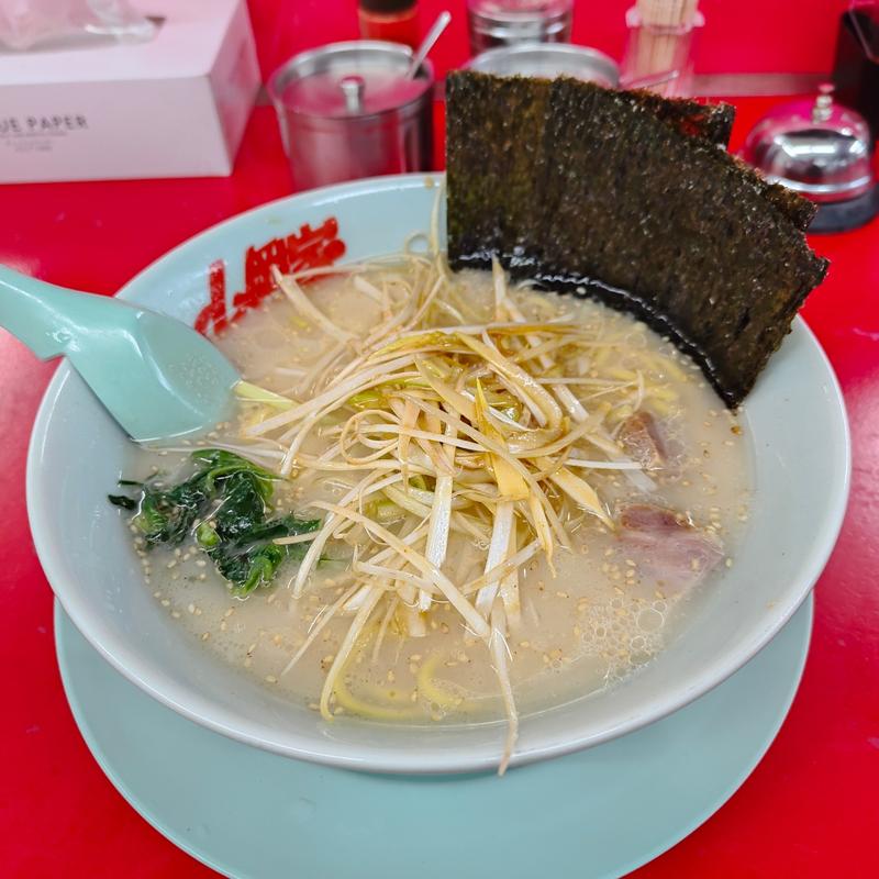 ネギラーメン (塩)(山岡家 樽川店 （やまおかや）)