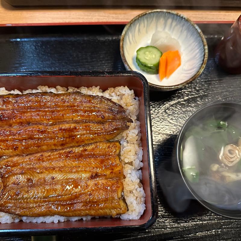 うな重(鰻 すず久)