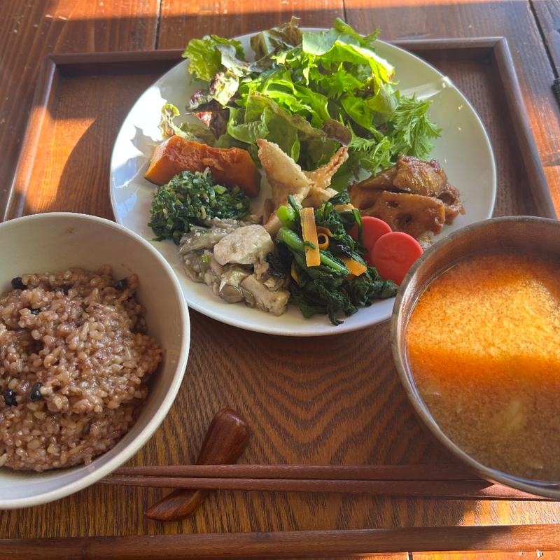 ちゃんとご飯(オーガニック七菜 無農薬有機野菜と酵素玄米)