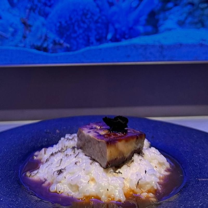 フォアグラとトリュフのクリームリゾット(上野 アクアリウムレストラン Nautilus-ノーチラス-)