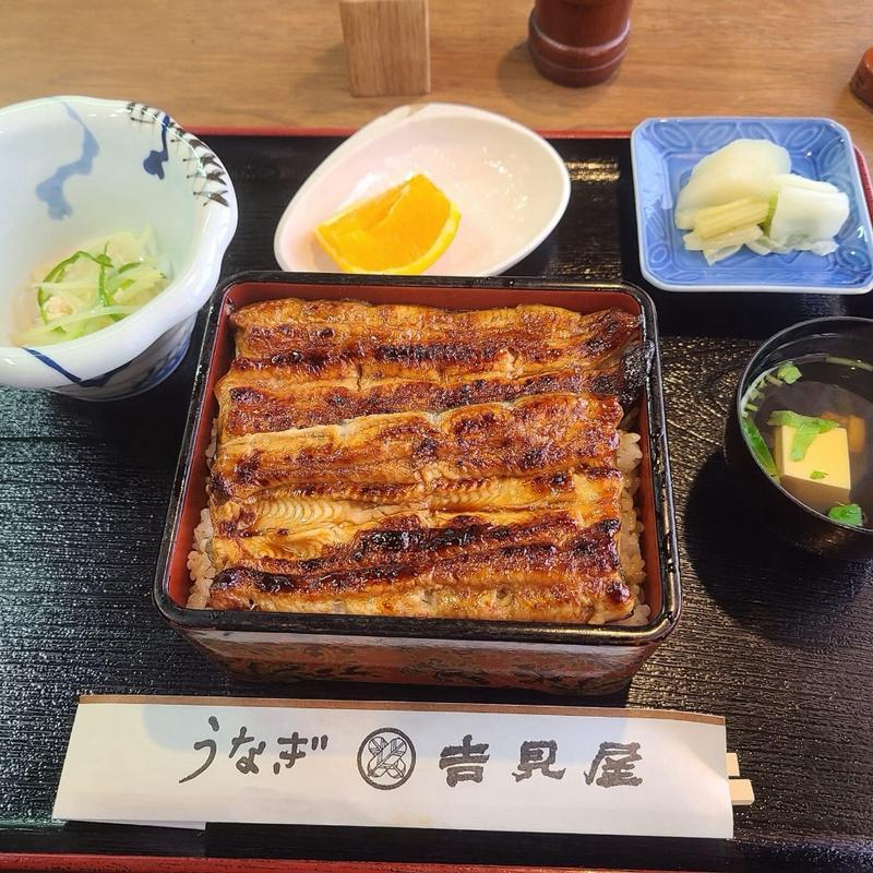 特上鰻重(うなぎ 吉見屋)