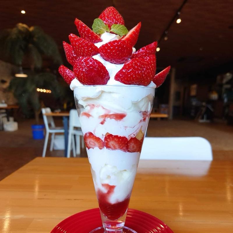 いちごのメガネパフェ(9state cafe)