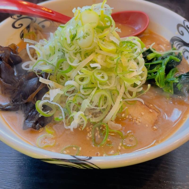 赤みそらーめん　ねぎ盛り(らー麺 家康 北郷店)