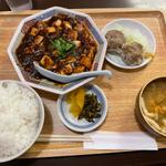 麻婆豆腐と肉焼売定食